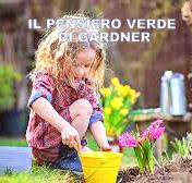 IL PENSIERO VERDE DI GARDNER