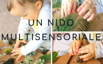 UN NIDO MULTISENSORIALE