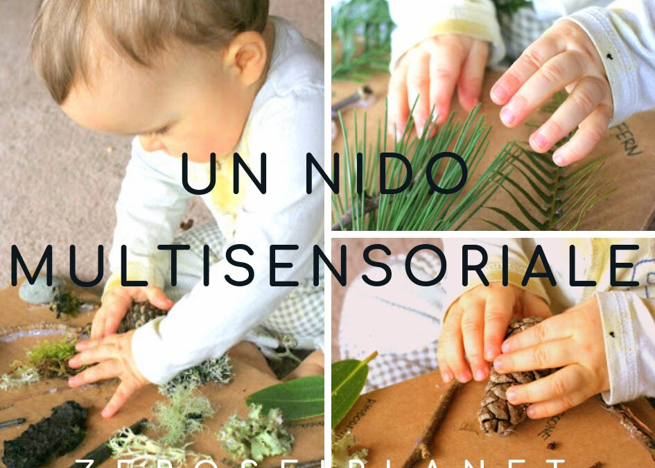 UN NIDO MULTISENSORIALE