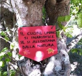 FARE OUTDOOR EDUCATION NEI CONTESTI URBANI