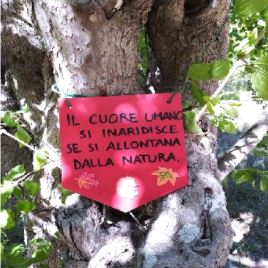 FARE OUTDOOR EDUCATION NEI CONTESTI URBANI