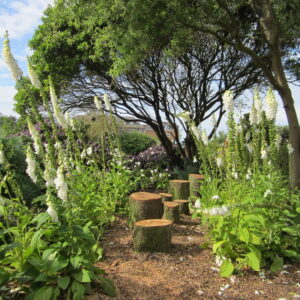 IL GIARDINO EDUCATIVO: RIQUALIFICAZIONE E VALORIZZAZIONE DEGLI SPAZI ESTERNI DEL NIDO E DELLA SCUOLA DELL'INFANZIA